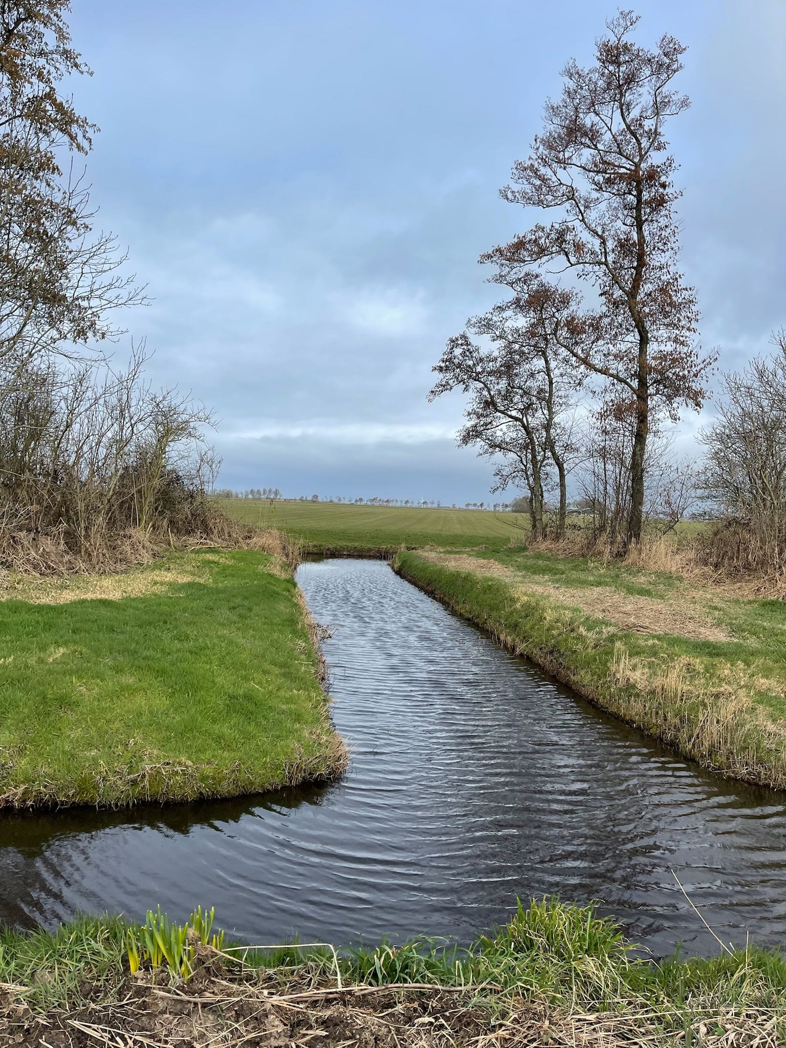 T splitsing water
