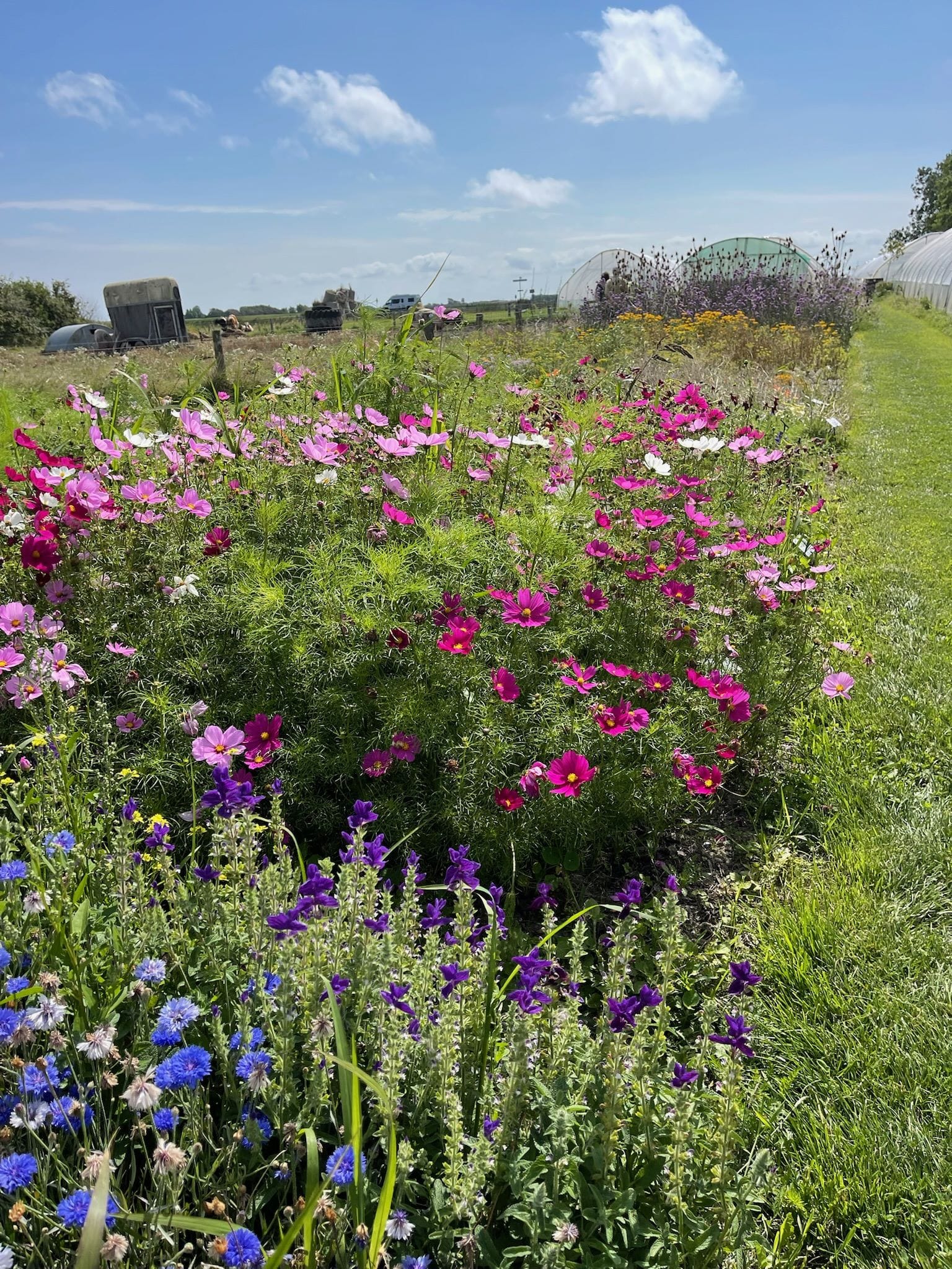 bloemen