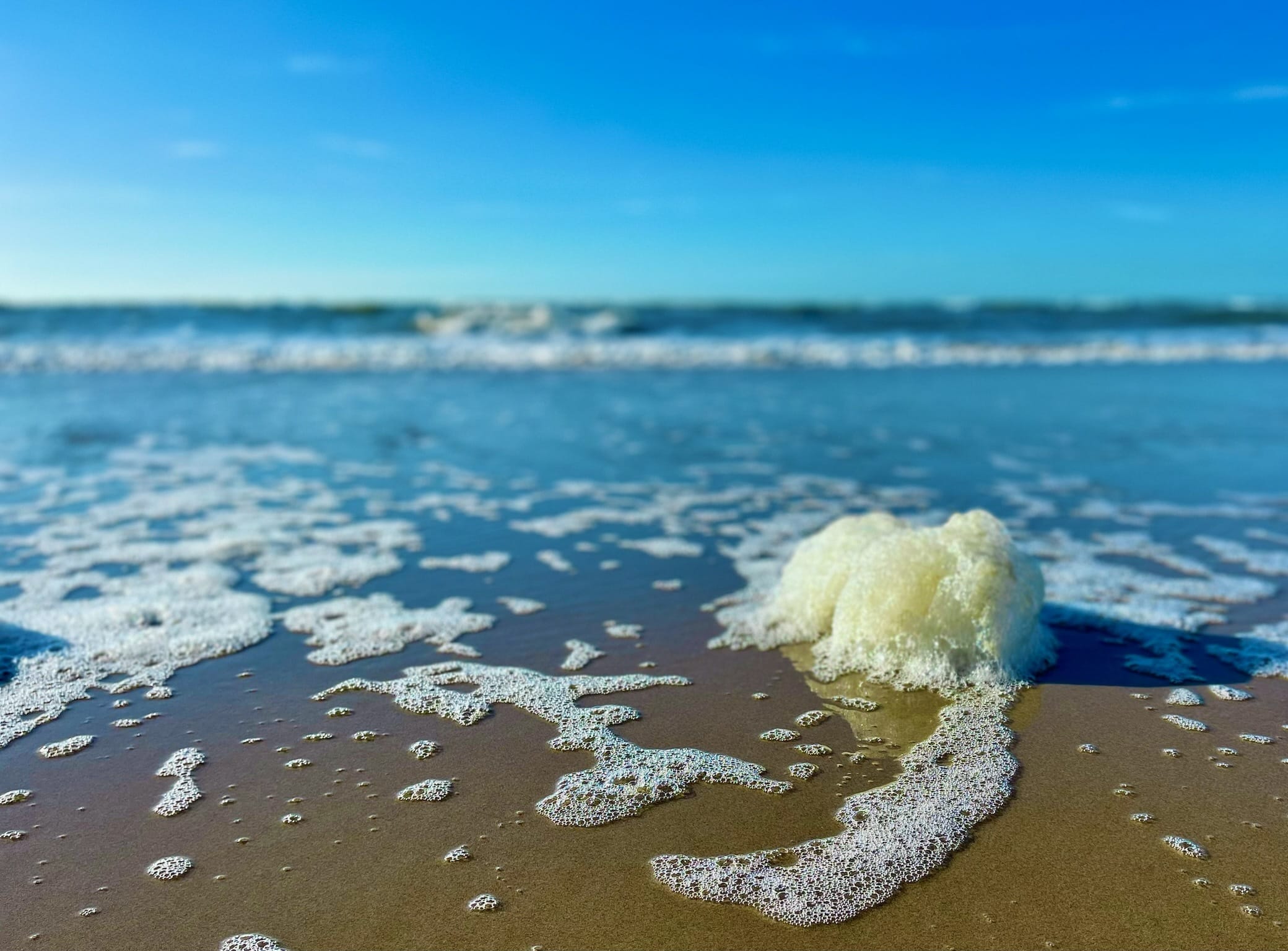 zeeschuim