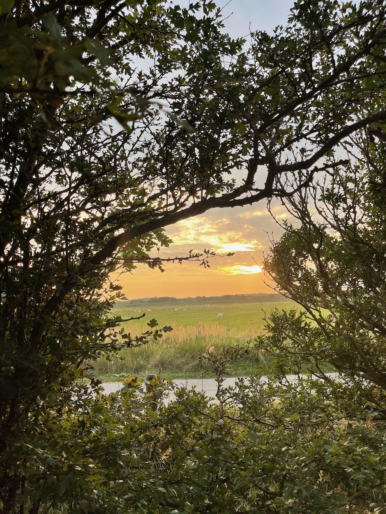 zonsondergang